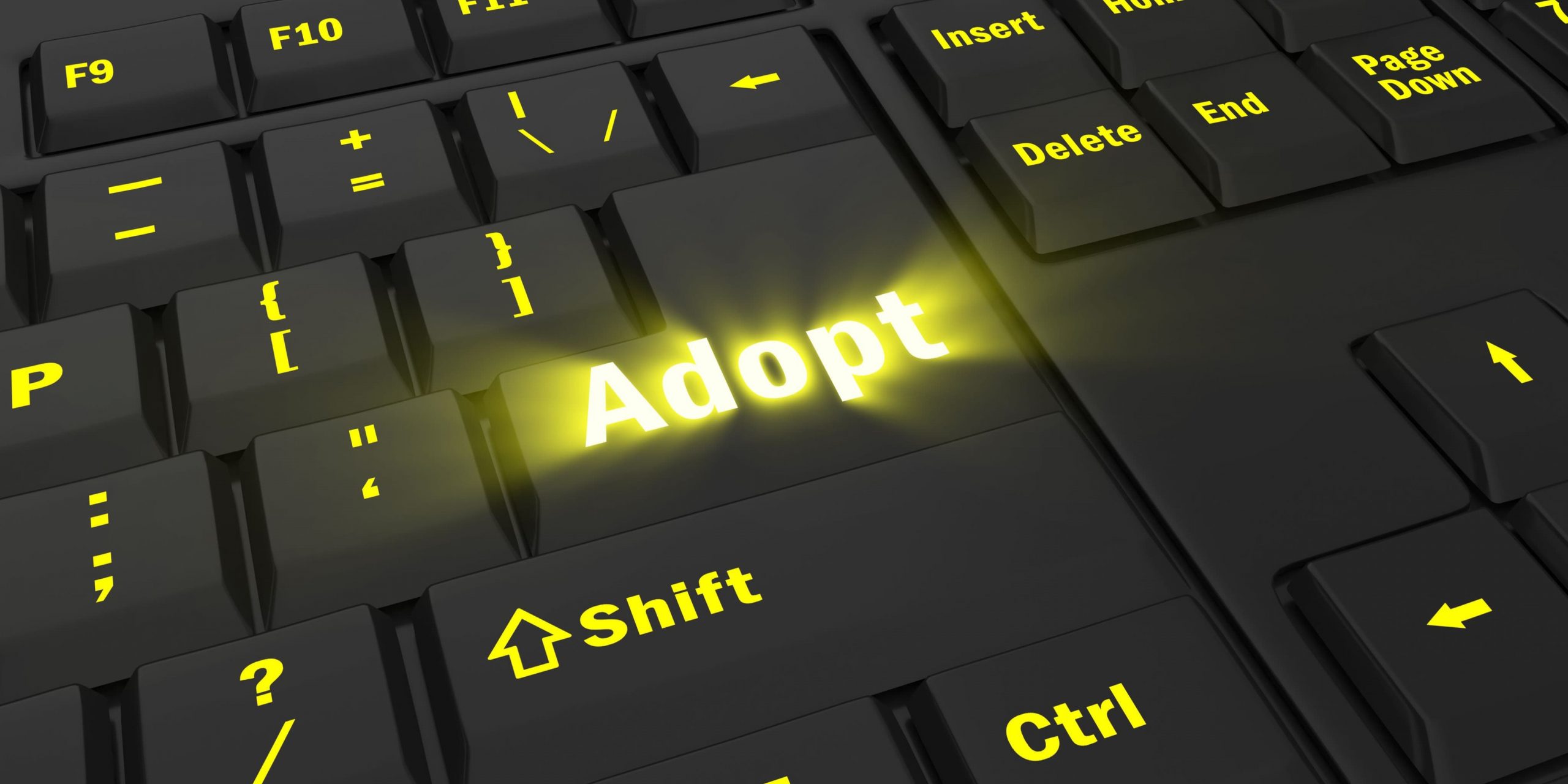 Digital Adoption